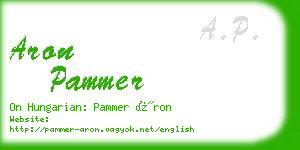 aron pammer business card